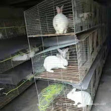 easy clean rabbit lapin cage for industrial and commercial